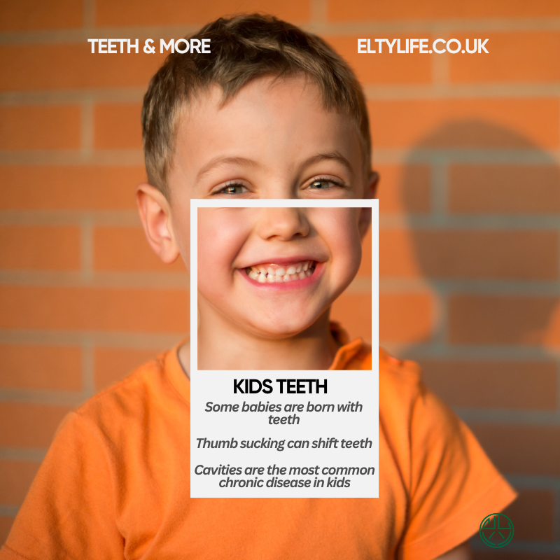 Some fun and quick facts about kids' teeth