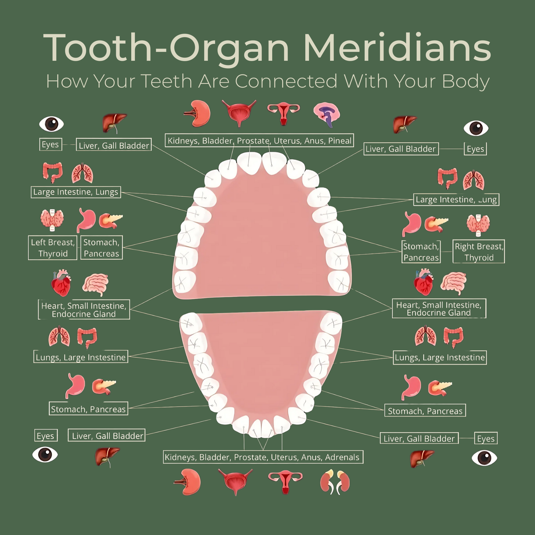 The surprising link between your teeth and emotions
