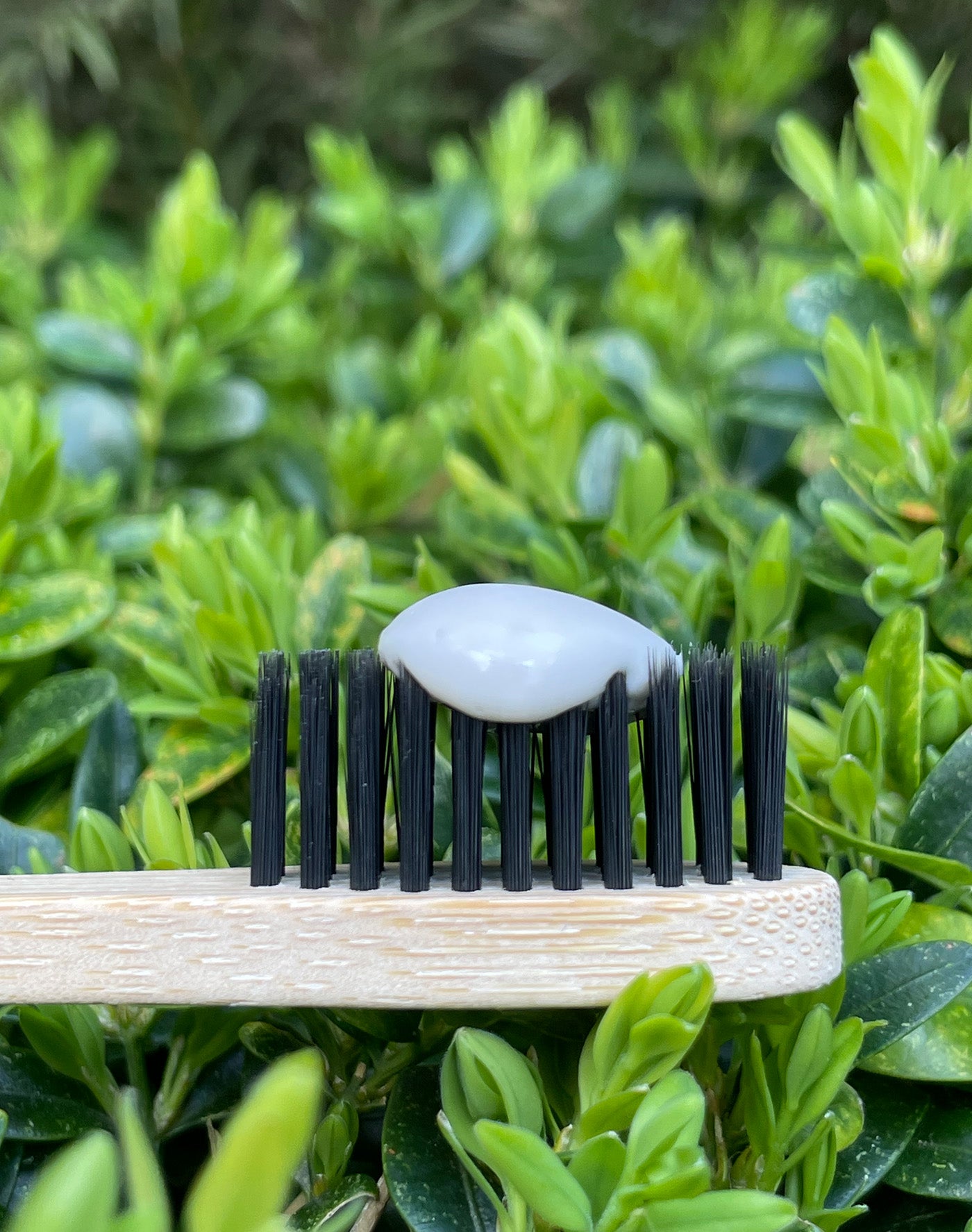 refillable toothpaste sls free