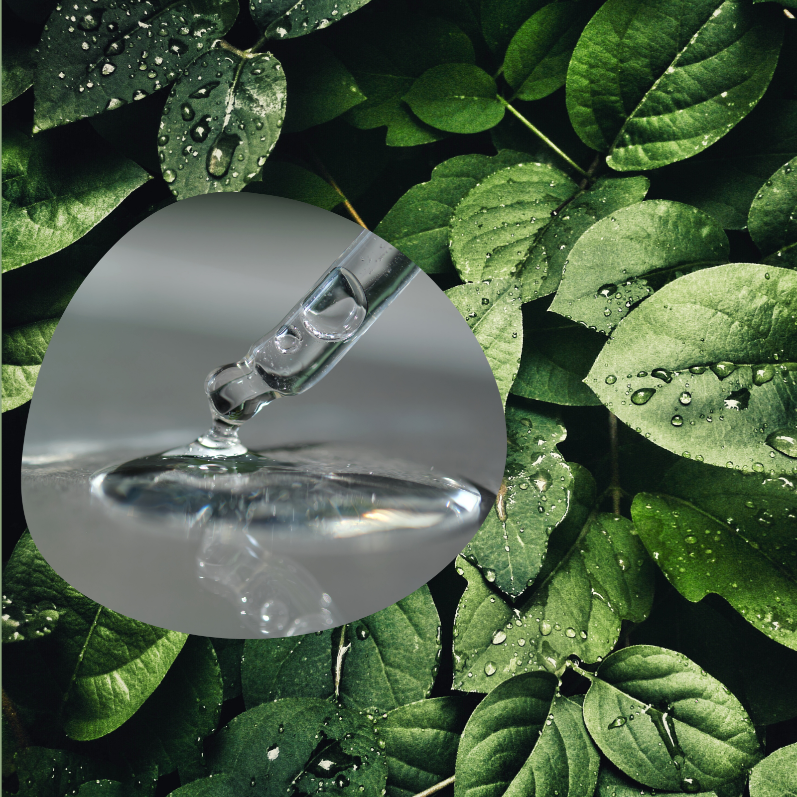 Sustainability efforts with a water droplet and leaf background